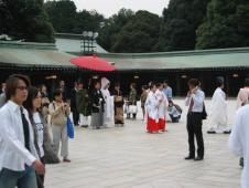gal/Kyotoites_a_Tokyo/_thb_109_0965.jpg