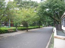 gal/Kyotoites_a_Tokyo/_thb_109_0979.jpg