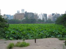 gal/Tokyo/Ueno/_thb_102_0205.jpg