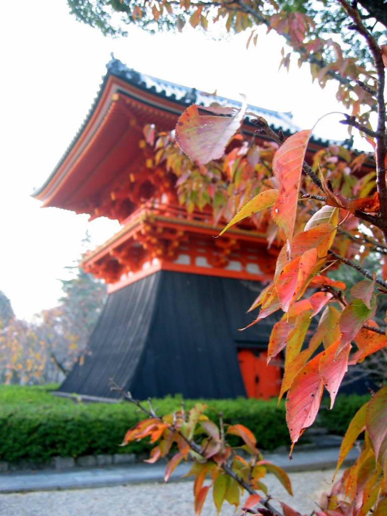 gal/Tokyoites_a_Kyoto/Kyoto/116_1636_r1.jpg