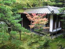 gal/Tokyoites_a_Kyoto/Kyoto/_thb_111_1165.jpg