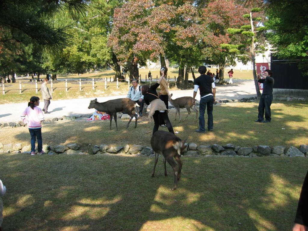gal/Tokyoites_a_Kyoto/Nara/111_1108.jpg