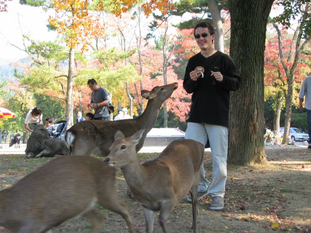 gal/Tokyoites_a_Kyoto/Nara/111_1112.jpg