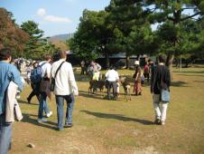 gal/Tokyoites_a_Kyoto/Nara/_thb_111_1107.jpg